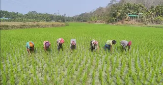 পাহাড়ের নারীদের সচ্ছলতায় বড় বাধা মজুরি বৈষম্য